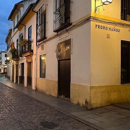 Patio De La Corredera Lejlighed Córdoba Eksteriør billede