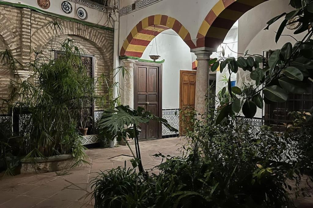 Patio De La Corredera Lejlighed Córdoba Eksteriør billede