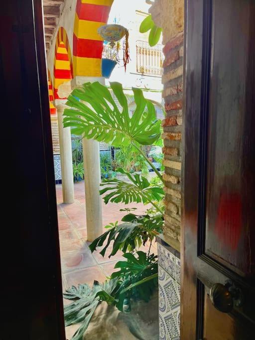 Patio De La Corredera Lejlighed Córdoba Eksteriør billede