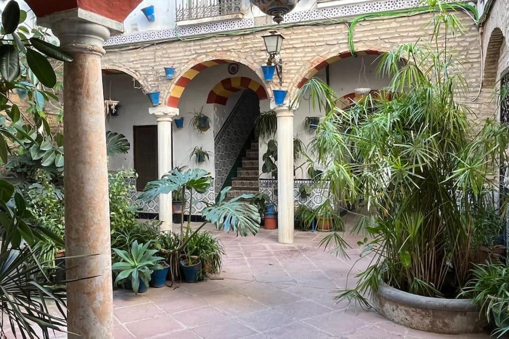 Patio De La Corredera Lejlighed Córdoba Eksteriør billede